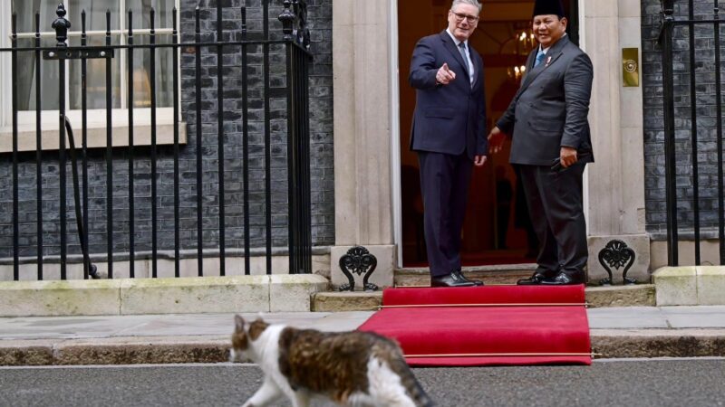 Momen Unik di 10 Downing Street, Kucing Larry Curi Perhatian Presiden Prabowo dan PM Inggris Keir Starmer