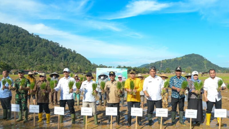 Rehabilitasi Lahan Sawah di Deli Serdang Titik Balik Ketahanan Pangan di Sumut
