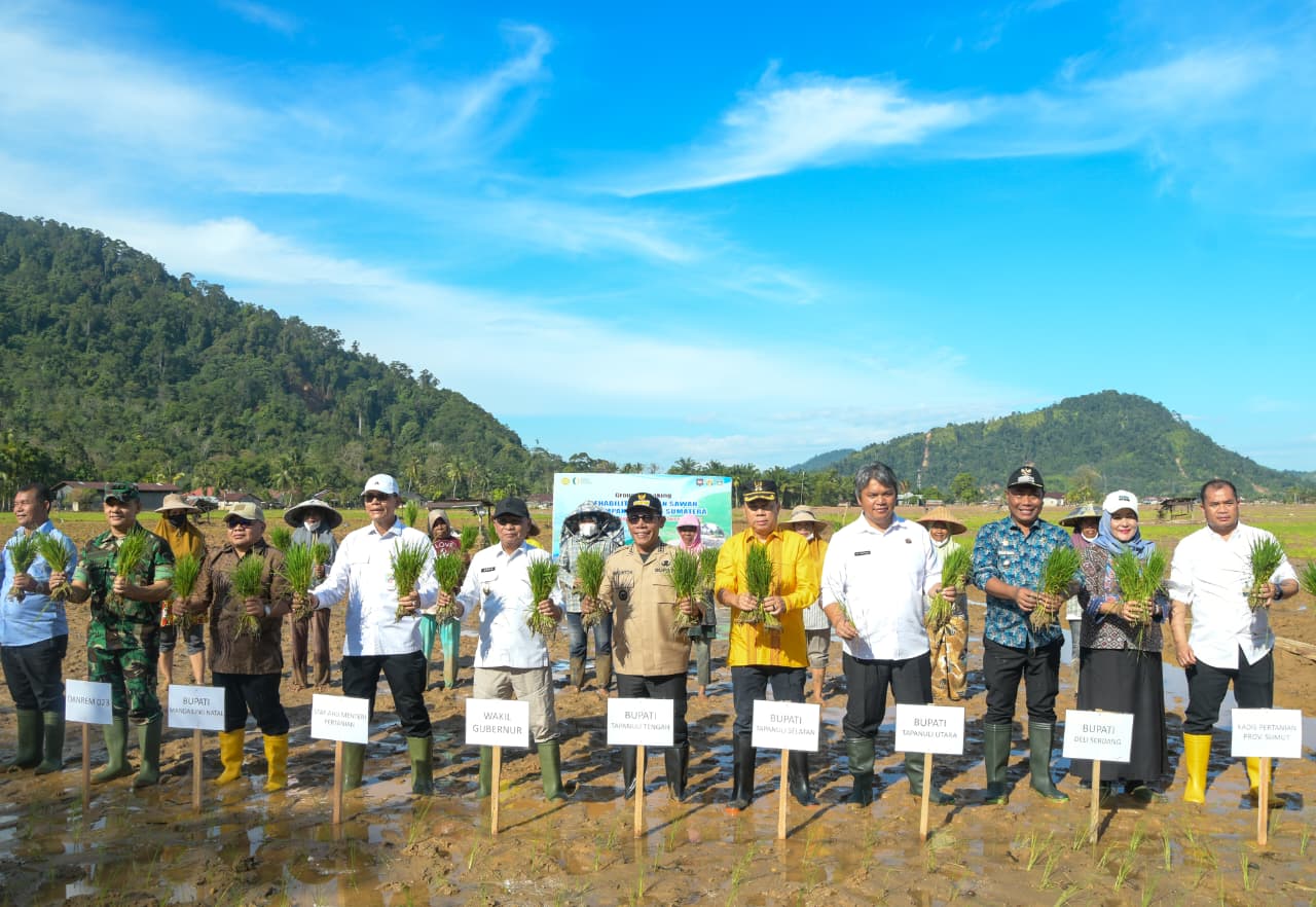 Rehabilitasi Lahan Sawah di Deli Serdang Titik Balik Ketahanan Pangan di Sumut