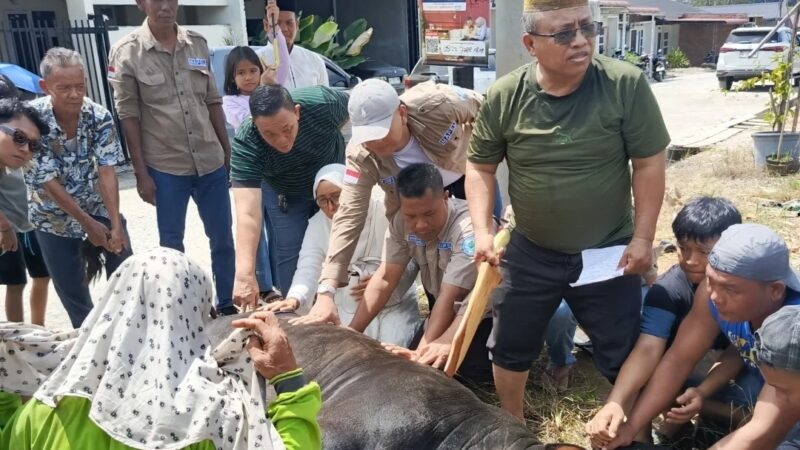 Anggota DPRD Deli Serdang Dahnil Ginting Salurkan Hewan Kurban untuk Mushola Al Falah dan Masyarakat Sampali