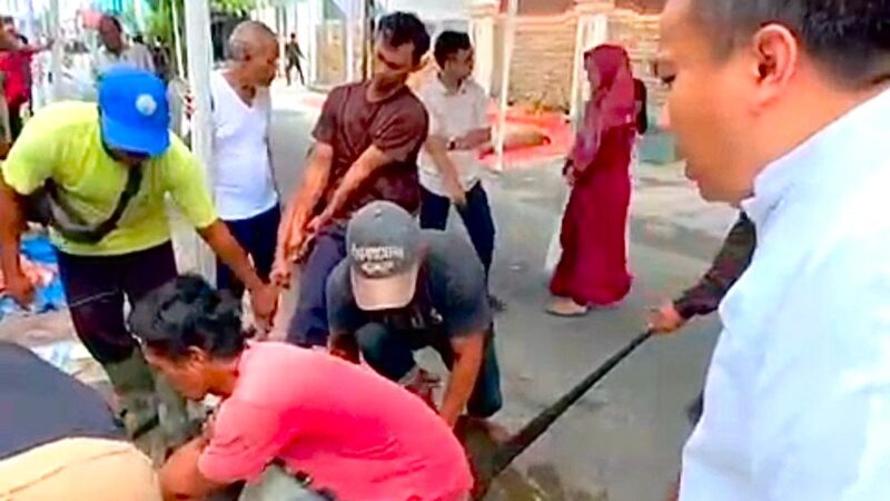 Wakil Ketua DPRD Medan Zulkarnaen Salurkan 23 Hewan Qurban pada Idul Adha 1447 H