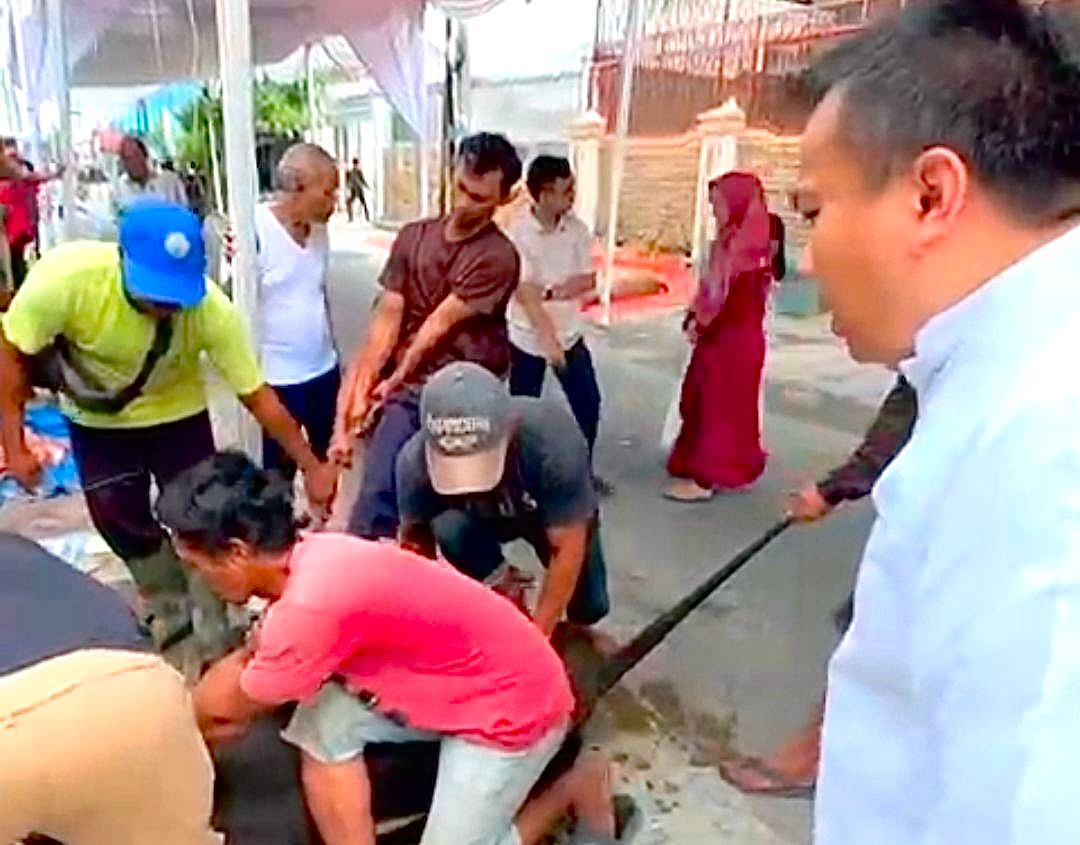 Wakil Ketua DPRD Medan Zulkarnaen Salurkan 23 Hewan Qurban pada Idul Adha 1447 H