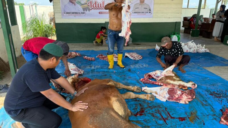 Anggota DPRD Binjai Ronggur Raja Doli Salurkan Tiga Ekor Sapi Kurban untuk Warga Binjai Timur