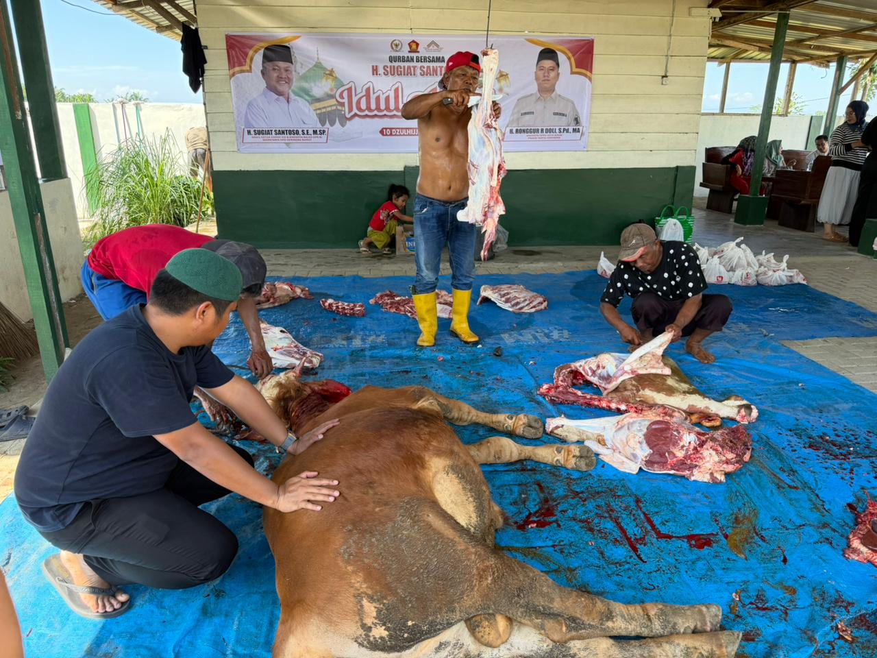 Anggota DPRD Binjai Ronggur Raja Doli Salurkan Tiga Ekor Sapi Kurban untuk Warga Binjai Timur