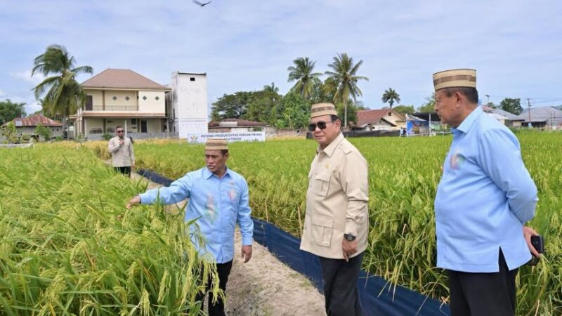 Presiden Prabowo Hadiri Puncak PENAS Petani dan Nelayan XVII Tahun 2026 di Gorontalo Bersama 50 Ribu Peserta