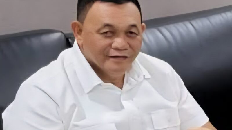 Dahnil Ginting:Prof IsaIndrawan Sangat Layak Jadi Mentor Rektor Nasional