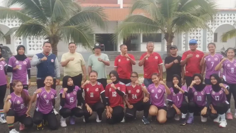 Diikuti 20 Tim Kabupaten/Kota Se Sumut, Dahnil Ginting Dukung Penuh Kejurda Bola Tangan Perebutkan Piala Gubsu