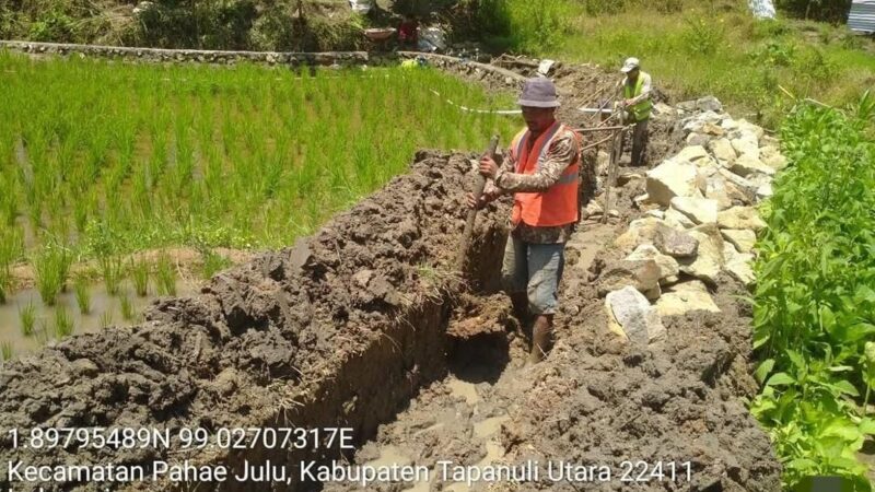 Pastikan Irigasi Berfungsi, Pertanian Tapanuli Utara Terus Diperkuat