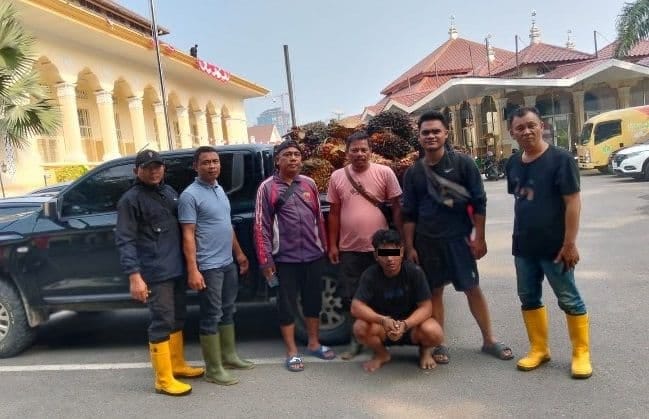 PTPN Lapor ke Polda Sumut, Berharap Pelaku Pencurian Sawit Diproses Hukum