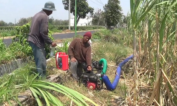 Dua Bendung Rusak, Petani Ujung Padang Rogoh Rp120 Ribu Sekali Mengairi Sawah