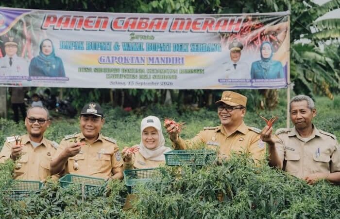 TOPPIS Jadi Andalan Pemkab Deli Serdang Kendalikan Harga Cabai