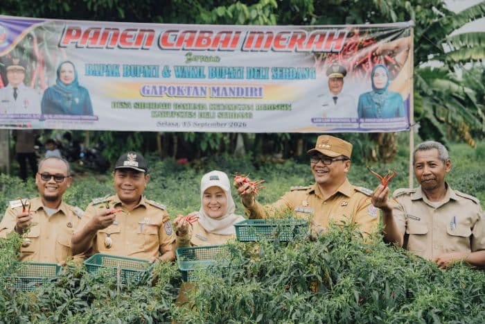 TOPPIS Jadi Andalan Pemkab Deli Serdang Kendalikan Harga Cabai