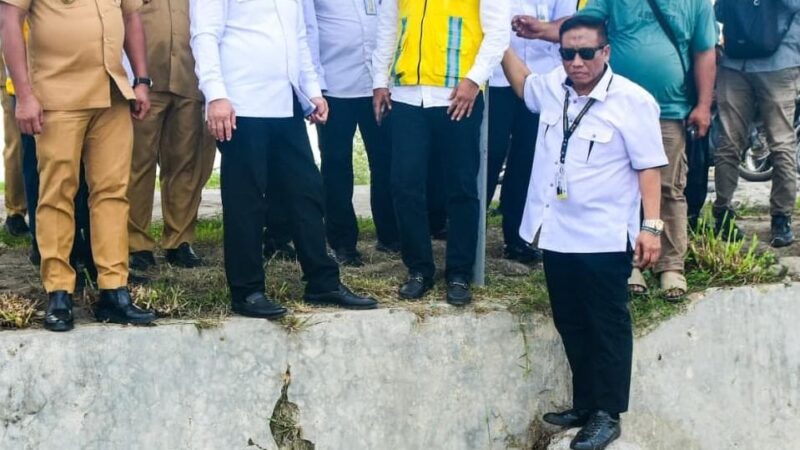 KSP RI, Dudung Abdurachman Tinjau P3-TGAI di Deli Serdang