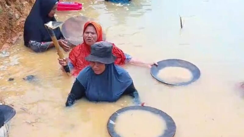 Hukum Menutup Tambang, Warga Menanti Jalan Keluar: Suara Pilu dari Pulo Padang