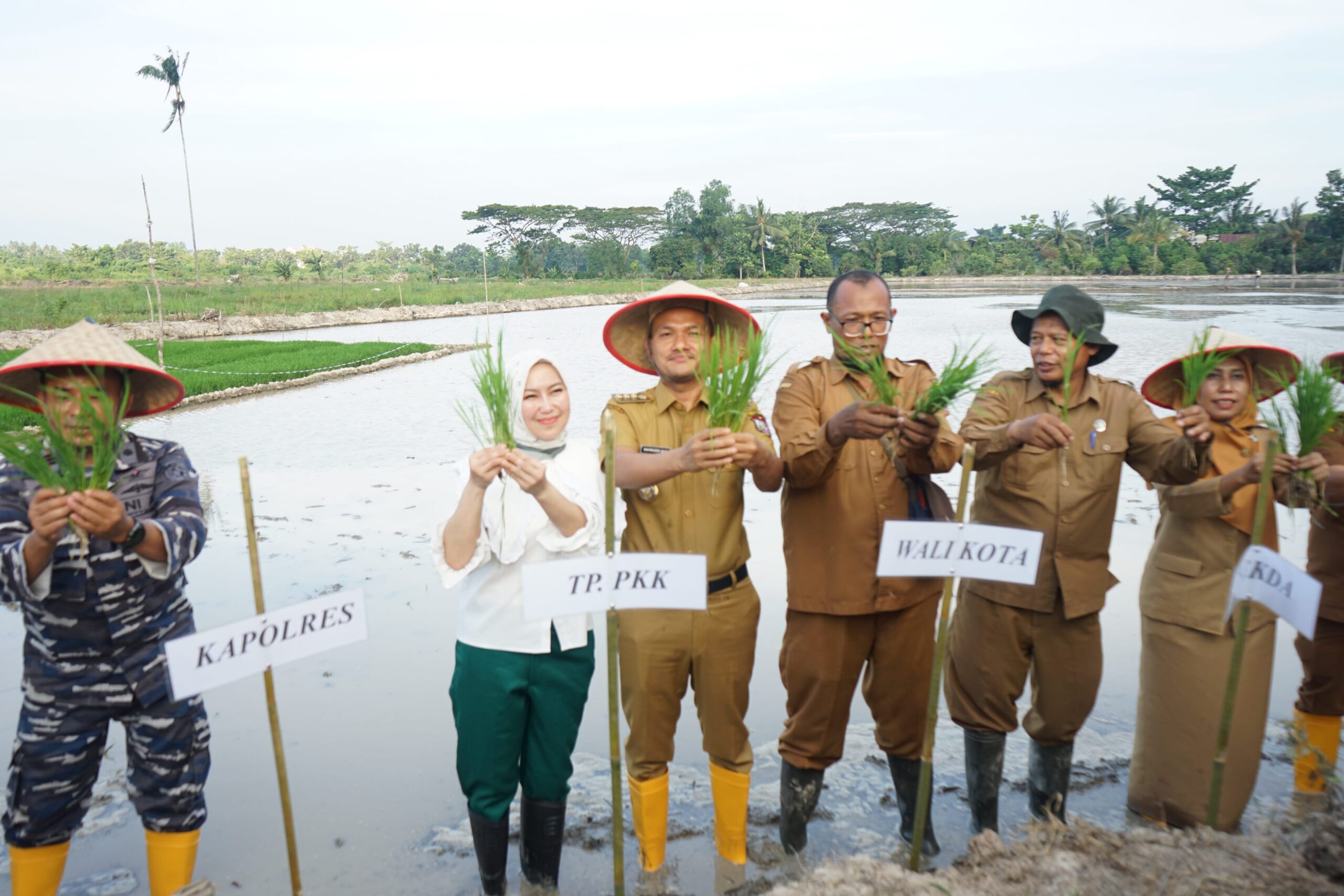 Dukung Ketahanan Pangan, Wali Kota Mahyaruddin Salim Hadiri Gebyar Dinas Perikanan, Pertanian dan Pangan Lewat Tanam Padi Perdana, Vaksinasi dan Restocking di Kelurahan Sei Raja