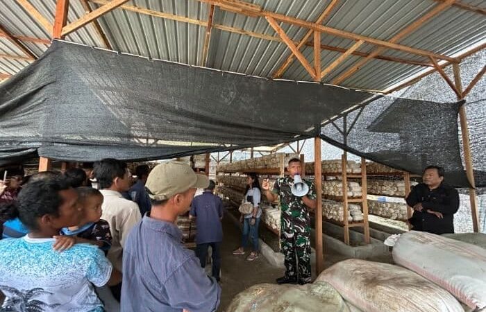 Brigif TP 36/HM Siapkan Edukasi Pertanian Terintegrasi untuk Petani Simalungun