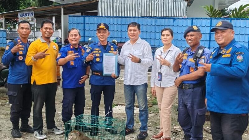 Kadis Damkarmat Deli Serdang Serahkan Satwa Liar Hasil Evakuasi ke BKSDA Provinsi Sumut