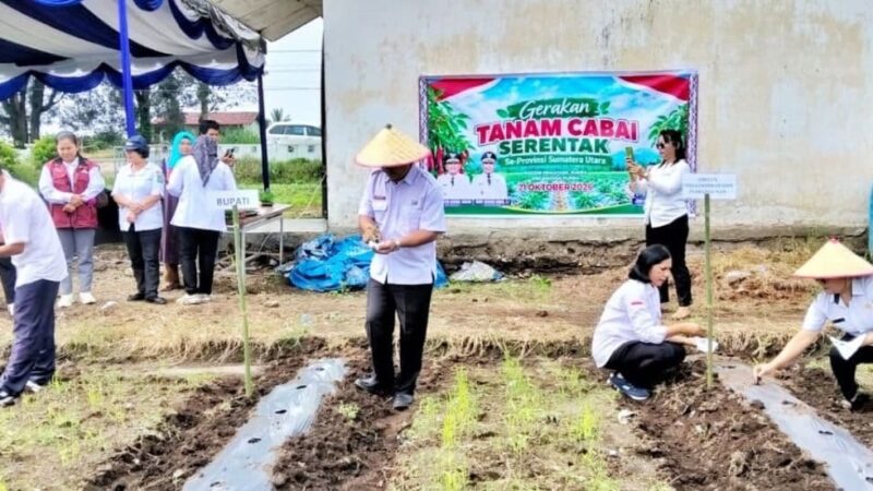 Jaga Pasokan dan Harga Jelang Nataru, Simalungun Tanam Cabai Serentak