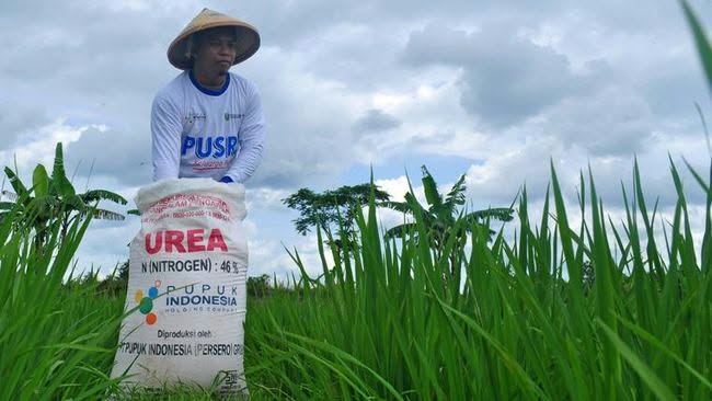 Serapan Pupuk Bersubsidi Tembus 70 Persen, Simalungun Dapat Tambahan 2.331 Ton