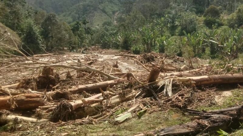 Banjir di Dairi Rusak 5 Hektare Lahan Pertanian, 8 Jalan Tani Longsor