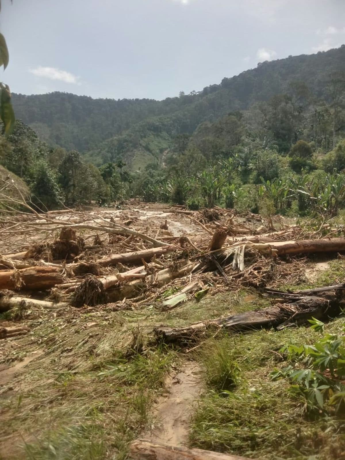Banjir di Dairi Rusak 5 Hektare Lahan Pertanian, 8 Jalan Tani Longsor
