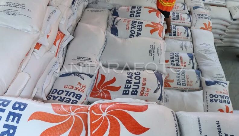Pemerintah dan Bulog Salurkan Bantuan Pangan Beras 30 Kg untuk Warga Asahan hingga Desember 2026