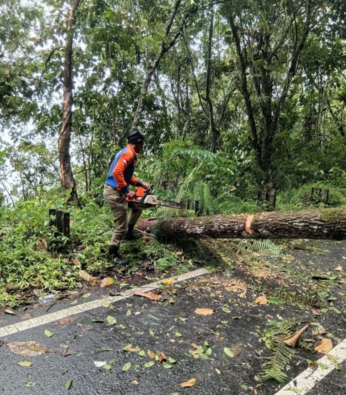 Tiga Kecamatan di Dairi Dilanda Bencana, Jalan Putus