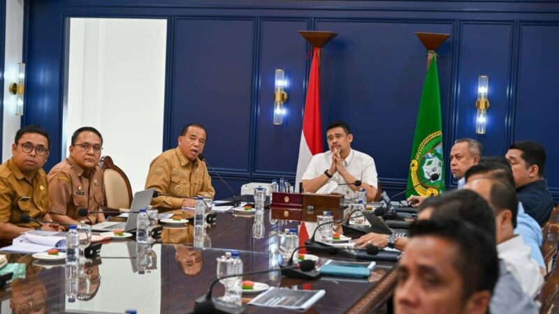 Lima Kabupaten Masuk Nominasi Kampung Kreatif Sumut 2027
